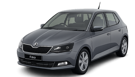 Škoda Fabia - Siva